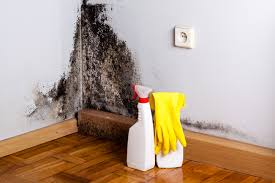 Mold Remediation for Vacation Homes in Republic, PA